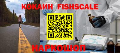 гашик Сланцы