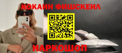 гашик Сланцы