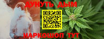соль ск Славгород
