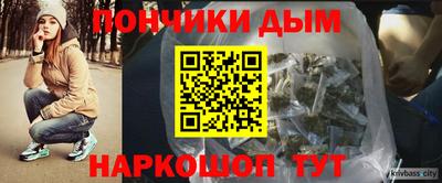 гашик Сланцы