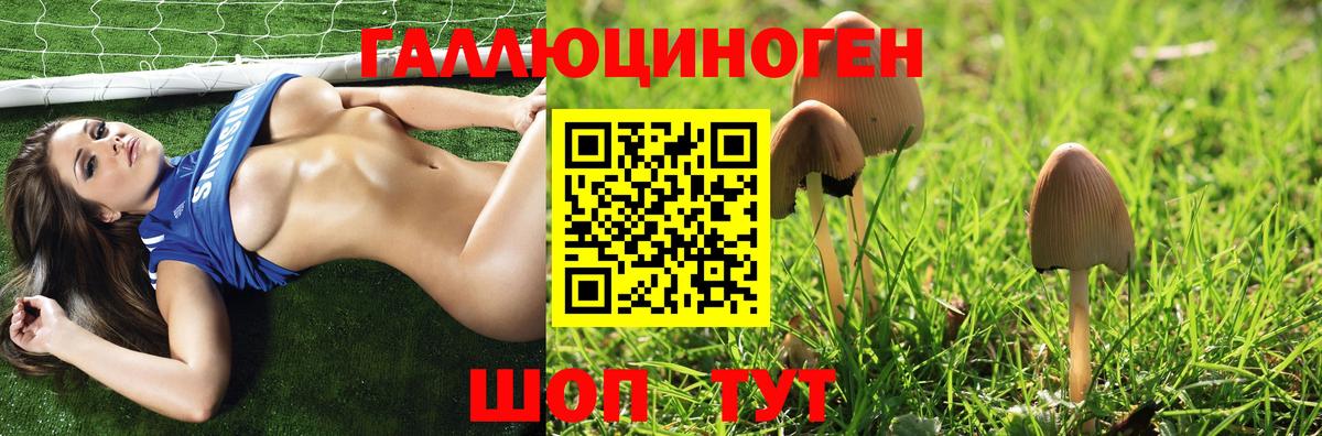 Галлюциногенные грибы GOLDEN TEACHER Белогорск
