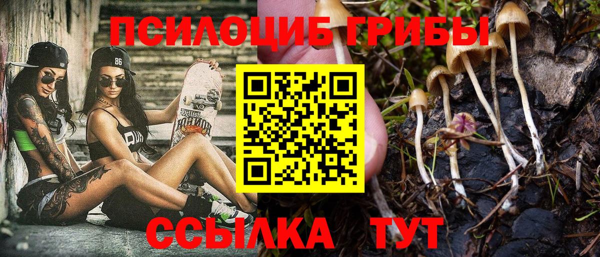 Галлюциногенные грибы прущие грибы  Вход с VPN  Галлюциногенные грибы Psilocybine cubensis  Белогорск 